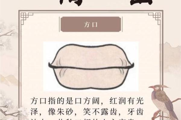 面相解析：男人嘴巴藏不住的风水秘密