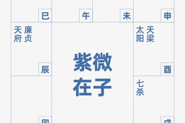 紫薇斗数适合怀孕