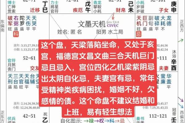 紫薇斗数适合怀孕