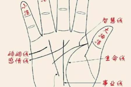 看手相算命：第五课 论健康