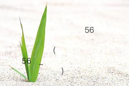 吕祖灵签57签解签