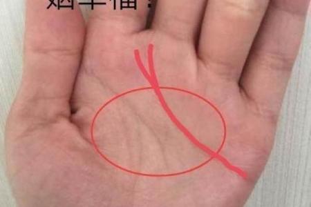 看手相算命：第二课 婚姻感情