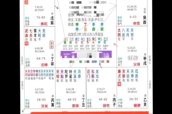 算命生辰八字软件