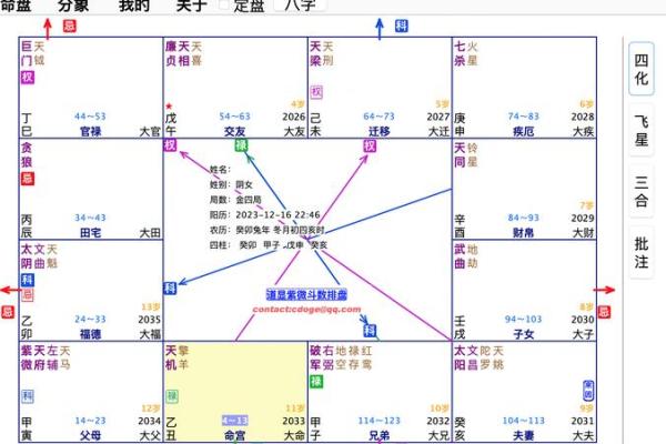 免费紫薇星盘在线排盘