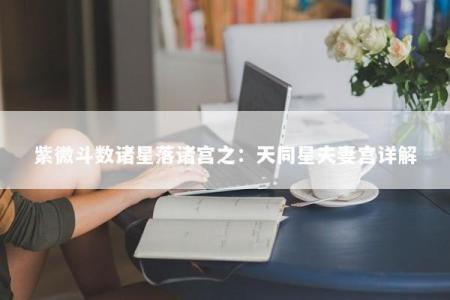 紫微斗数诸星落诸宫之：天同星夫妻宫详解