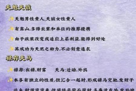 解说紫微斗数 深入解读紫微斗数？