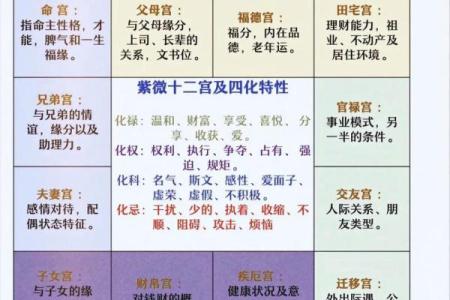 紫薇斗数同垣
