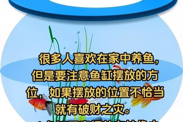 风水鱼缸_鱼缸放在床尾好吗