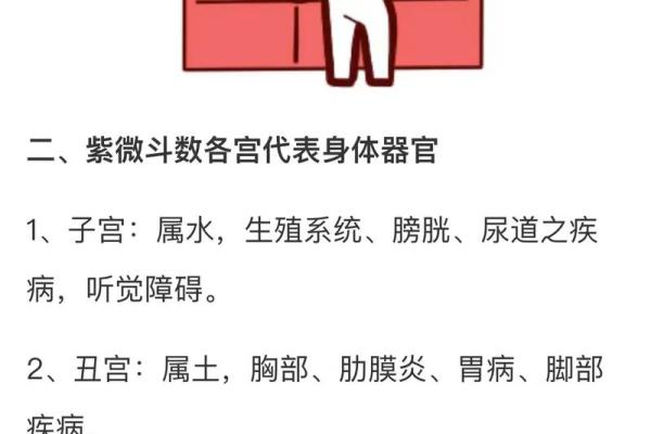 八字实战之如何看健康