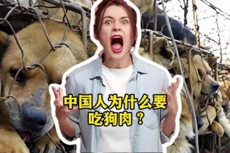 哪些人八字中不宜吃狗肉