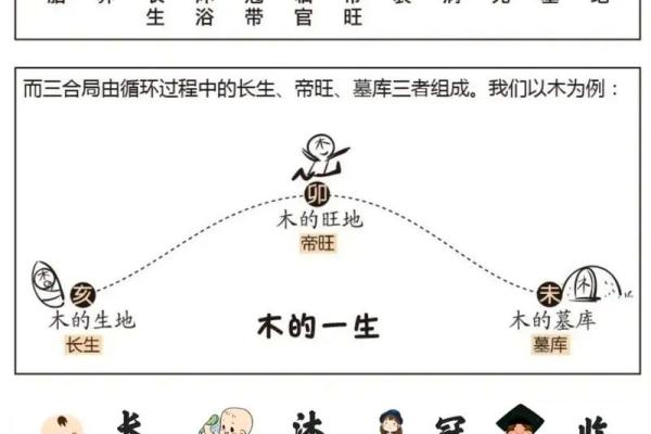 以八字为依据 十二长生是什么