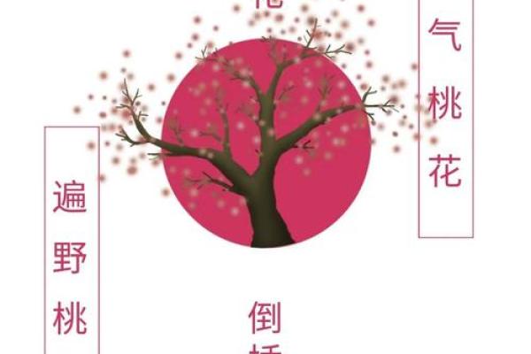 算命说今年倒插桃花
