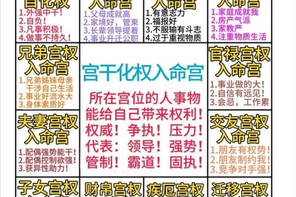 一分钟学会紫微斗数——夫妻给我带来的福气#国学文化