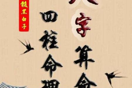 算命2009免费下载