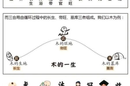 以八字为依据 十二长生是什么