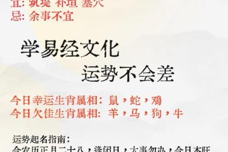 属鼠八字