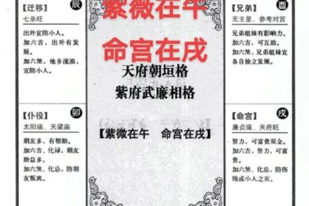 紫薇斗数看命运