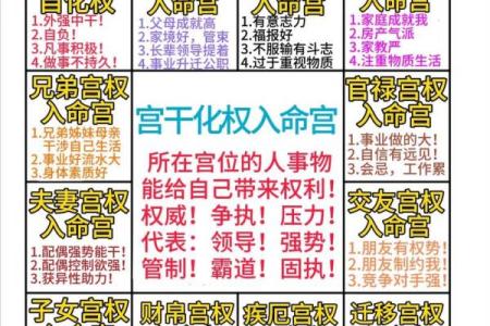 一分钟学会紫微斗数——夫妻给我带来的福气#国学文化