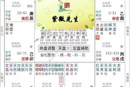 口才更好的紫薇斗数