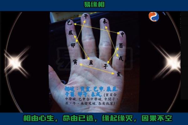 免费拍照看手相算命 免费拍照看手相算命