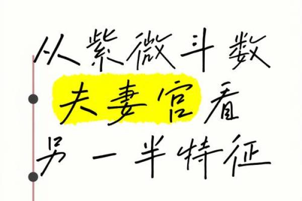 紫薇斗数里在哪里可以看怎么看三婚女人 紫薇斗数里在哪里可以看怎么看三婚女人