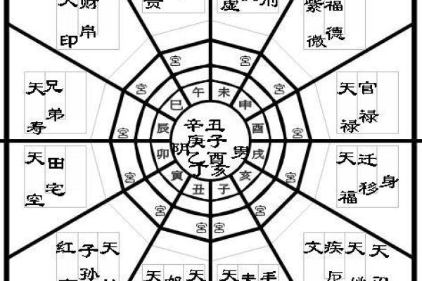 南北派紫薇斗数 南北派紫薇斗数