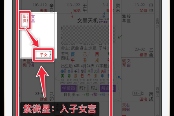 紫薇斗数欧美篇 紫薇斗数欧美篇