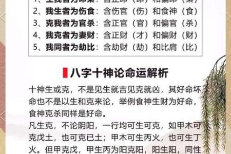 八字对应的五行