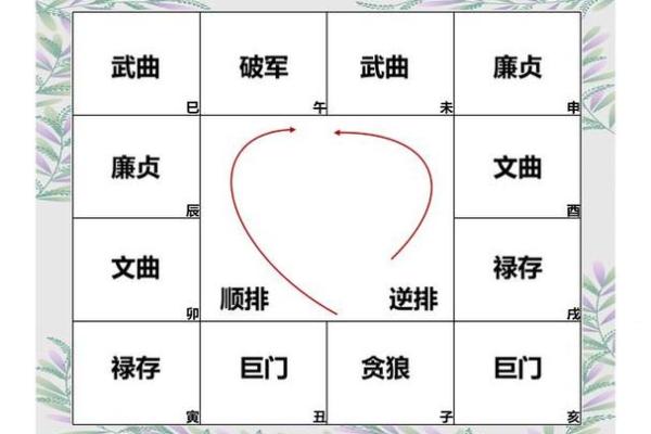 紫薇斗数身宫 紫薇斗数身宫
