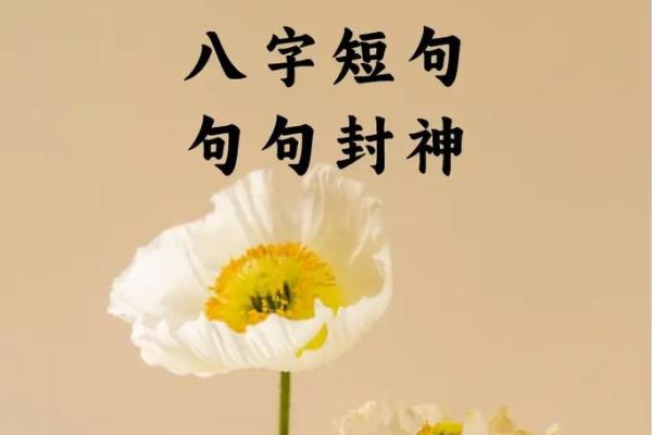 八字爱情句 八字爱情句