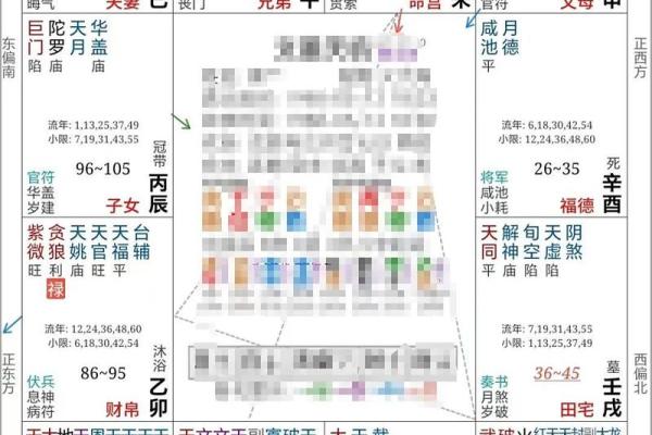 紫薇斗数命盘案例