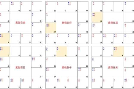 测紫薇斗数app