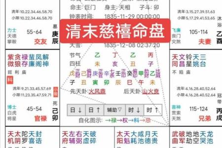 紫薇科技斗数