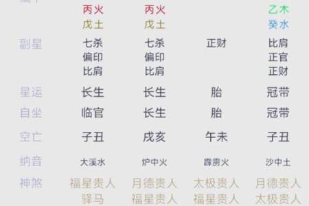 八字命盘自动解读