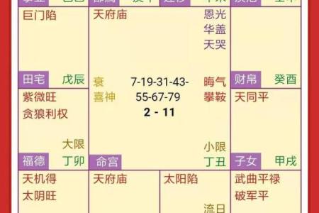 紫薇斗数命盘案例