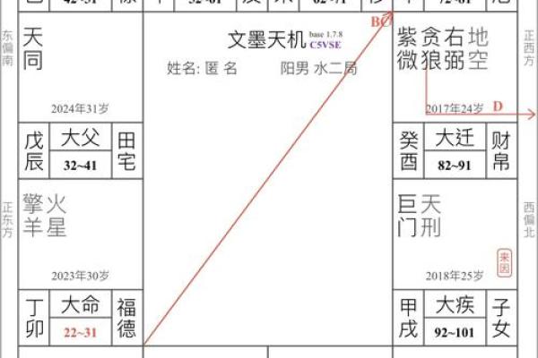 紫薇斗数实战实例