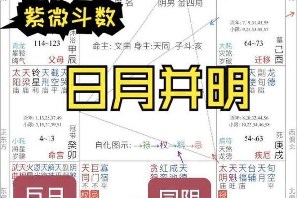 紫薇斗数实战实例