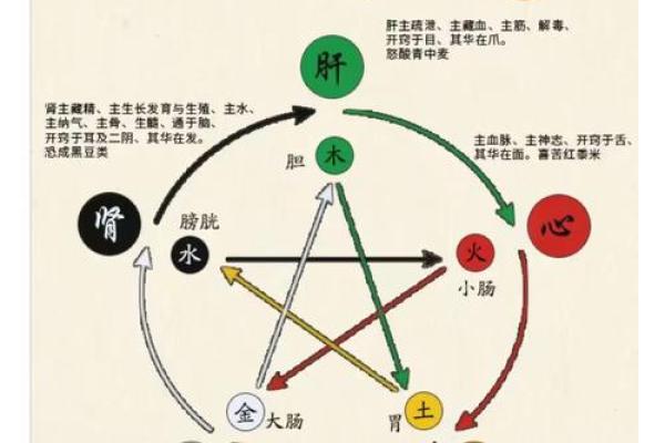 大运与八字 大运与八字