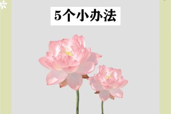 财运不济或与你的房子风水有关 财运不济或与你的房子风水有关