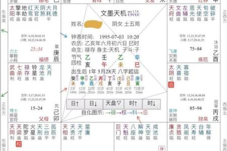 免费的紫微斗数排盘 免费紫微斗数排盘及含义?