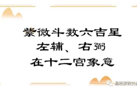 紫薇斗数右弼入命宫