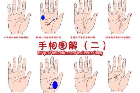 凯帝阿手相算命图解大全05