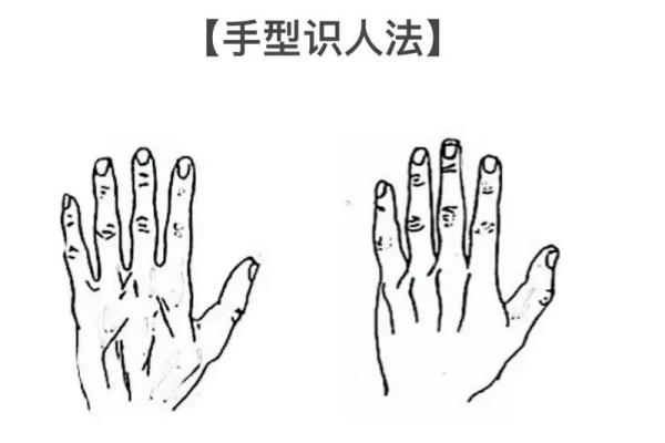 【手型算命】最基本的手型之哲学手