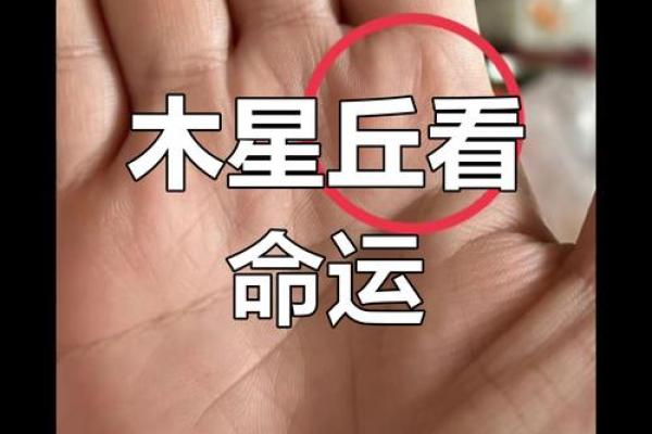 【手型算命】最基本的手型之哲学手