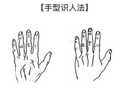 【手型算命】最基本的手型之哲学手