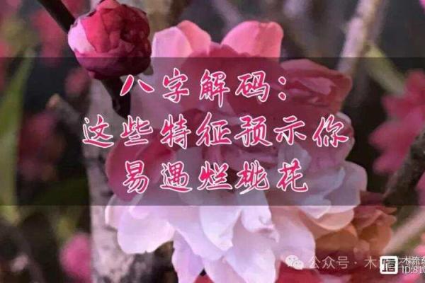 八字烂桃花怎么看?详细解析方法与特征 八字烂桃花怎么看?详细解析方法与特征