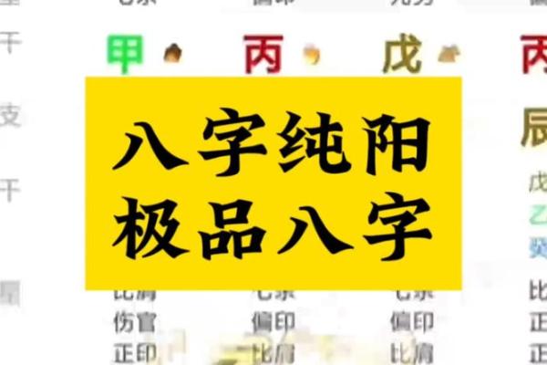 如何利用八字纯阳选择适合自己的职业