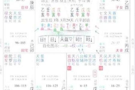 紫薇斗数如何看智慧