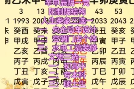 如何利用八字纯阳选择适合自己的职业