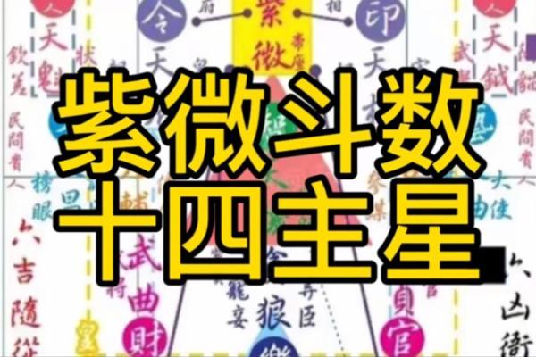 紫薇斗数安星 紫薇斗数安星